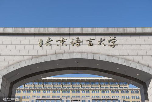 北京语言大学 已建立40个海外国际中文教育对口支持基地