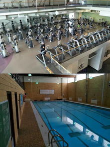 教育学院海外留学生风采录 美国篇
